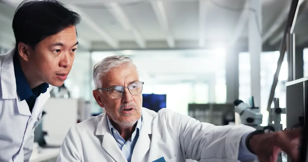 Seneca Optimisation Procede